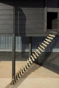 Plus Hühnerhaus Pavillion 6-eckig 19 Plus Hühnerhaus Pavillion 6-eckig -Pflanzensamen Rabatt plus huehnerhaus pavillion 6 eckig 1 set 1673891 de