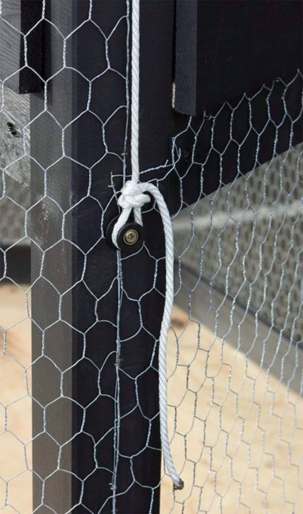 Plus Hühnerhaus Pavillion 6-eckig 5 Plus Hühnerhaus Pavillion 6-eckig – Bild 3