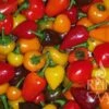 Chili-Mix -Pflanzensamen Rabatt reinsaat chili mix 1 paket 1665483 de