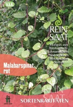 Sortenrarität "Roter Malabarspinat"