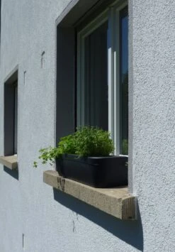 Fensterbank-Blumenkasten "Windowgreen", Graphit (anthrazit) -Pflanzensamen Rabatt rephorm fensterbank blumenkasten windowgreen graphit anthrazit 985185 de