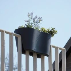 Geländertopf "Steckling Duo", Graphit (anthrazit) -Pflanzensamen Rabatt rephorm gelaendertopf steckling duo graphit anthrazit 985818 de