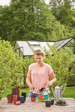 12 Kunststofftöpfe9 Cm Quadr., Schwarz -Pflanzensamen Rabatt romberg 12 kunststofftoepfe 9 cm quadr schwarz 1 st 906150 de