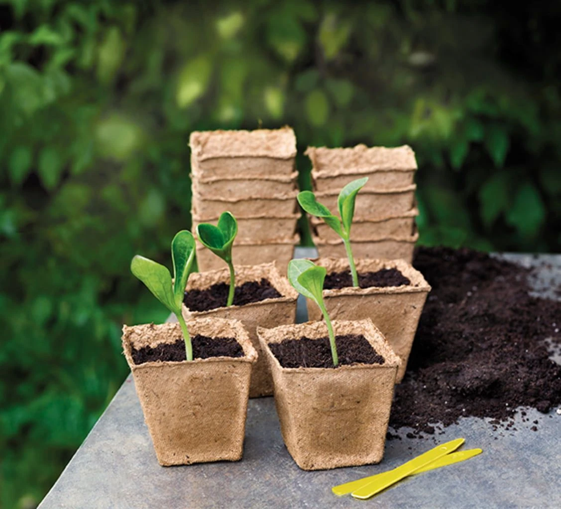 22 Anzuchttöpfe 6 Cm Quadratisch, 22 Stück 3 22 Anzuchttöpfe 6 Cm Quadratisch, 22 Stück