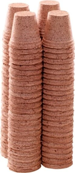 96 Anzuchttöpfe 6 Cm Rund 8 96 Anzuchttöpfe 6 Cm Rund -Pflanzensamen Rabatt romberg 96 anzuchttoepfe 6 cm rund 1 paket 1668653 de