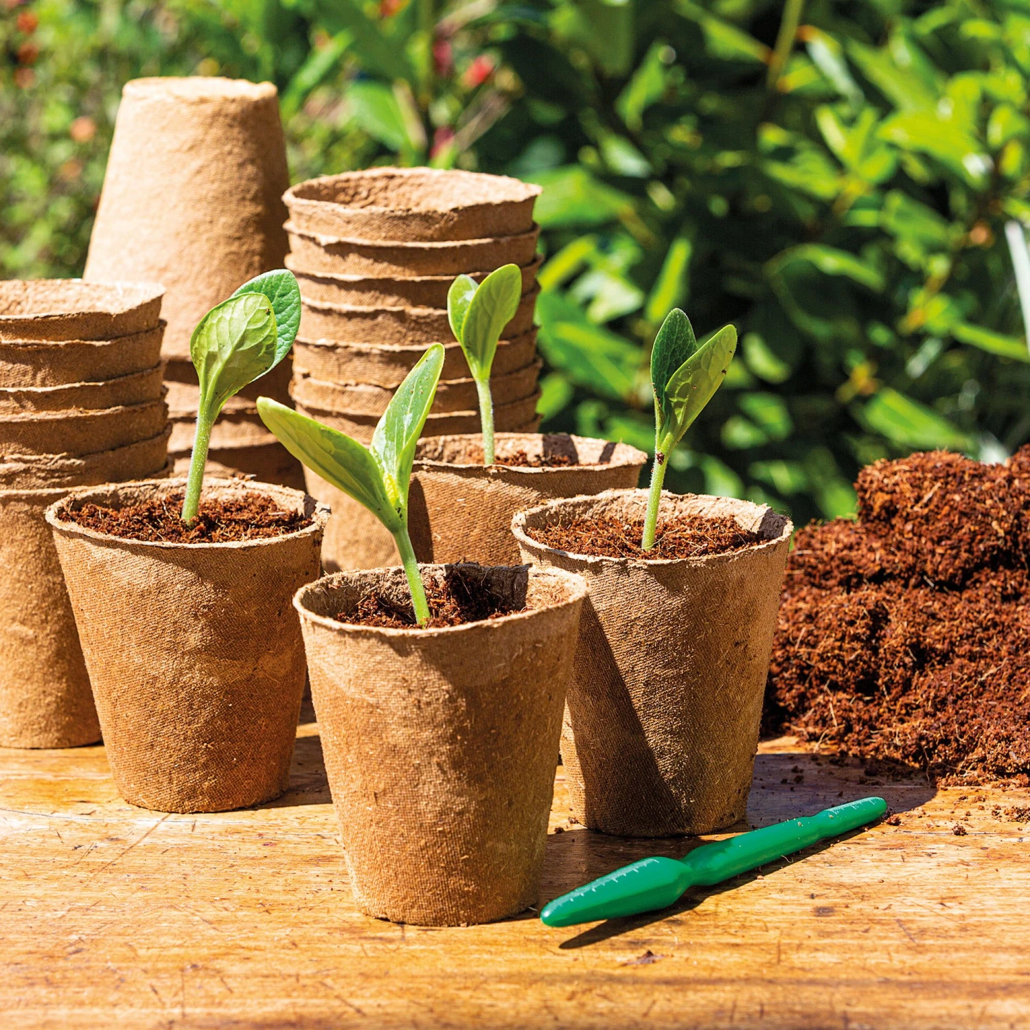 96 Anzuchttöpfe 6 Cm Rund 6 96 Anzuchttöpfe 6 Cm Rund – Bild 4