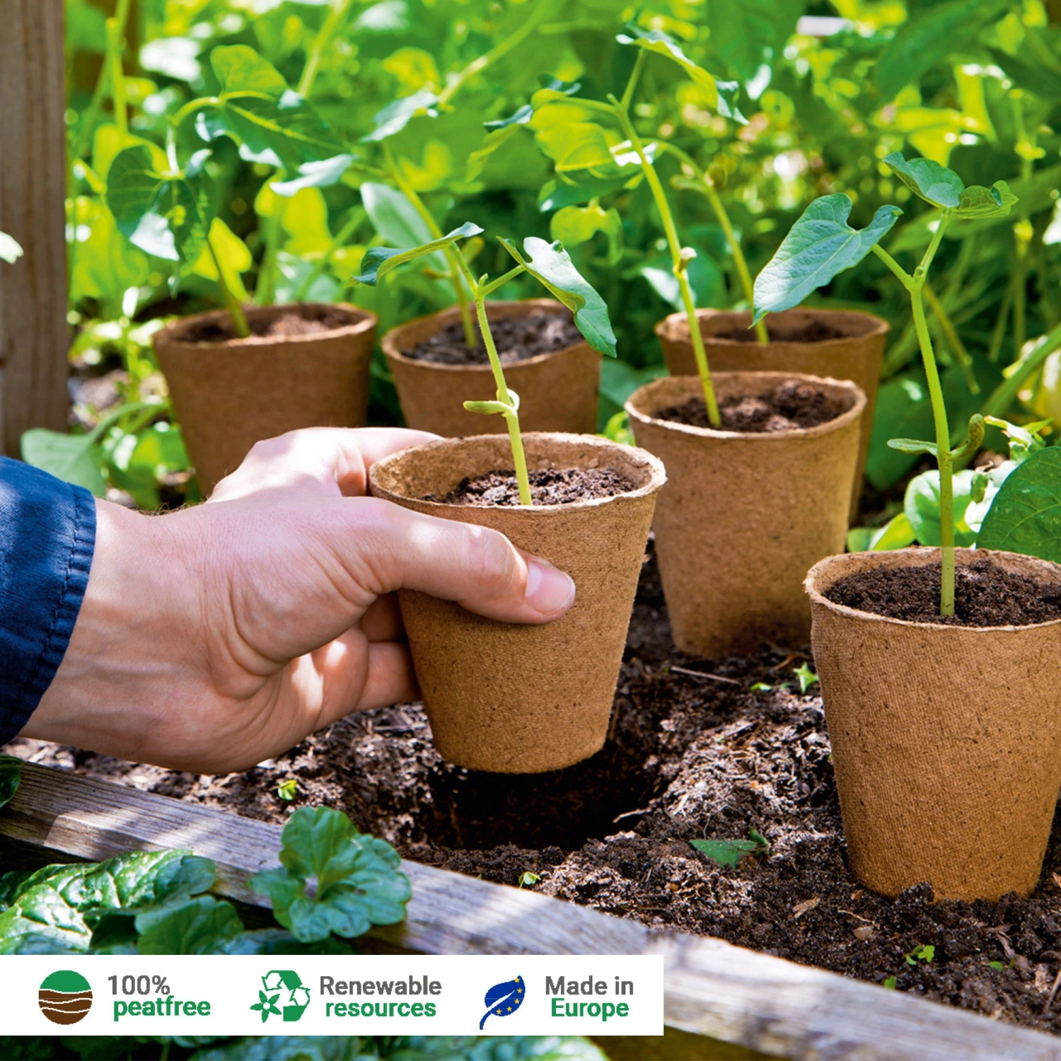 96 Anzuchttöpfe 6 Cm Rund 4 96 Anzuchttöpfe 6 Cm Rund – Bild 2