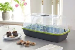 Anzuchtschale M BOQUBE Anthrazit-Sommergrün -Pflanzensamen Rabatt romberg anzuchtschale m boqube anthrazit sommergruen 1 stk 1045546 de