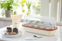 Anzuchtschale S BOQUBE Creme-Kupferbraun -Pflanzensamen Rabatt romberg anzuchtschale s boqube creme kupferbraun 1 st 907071 de