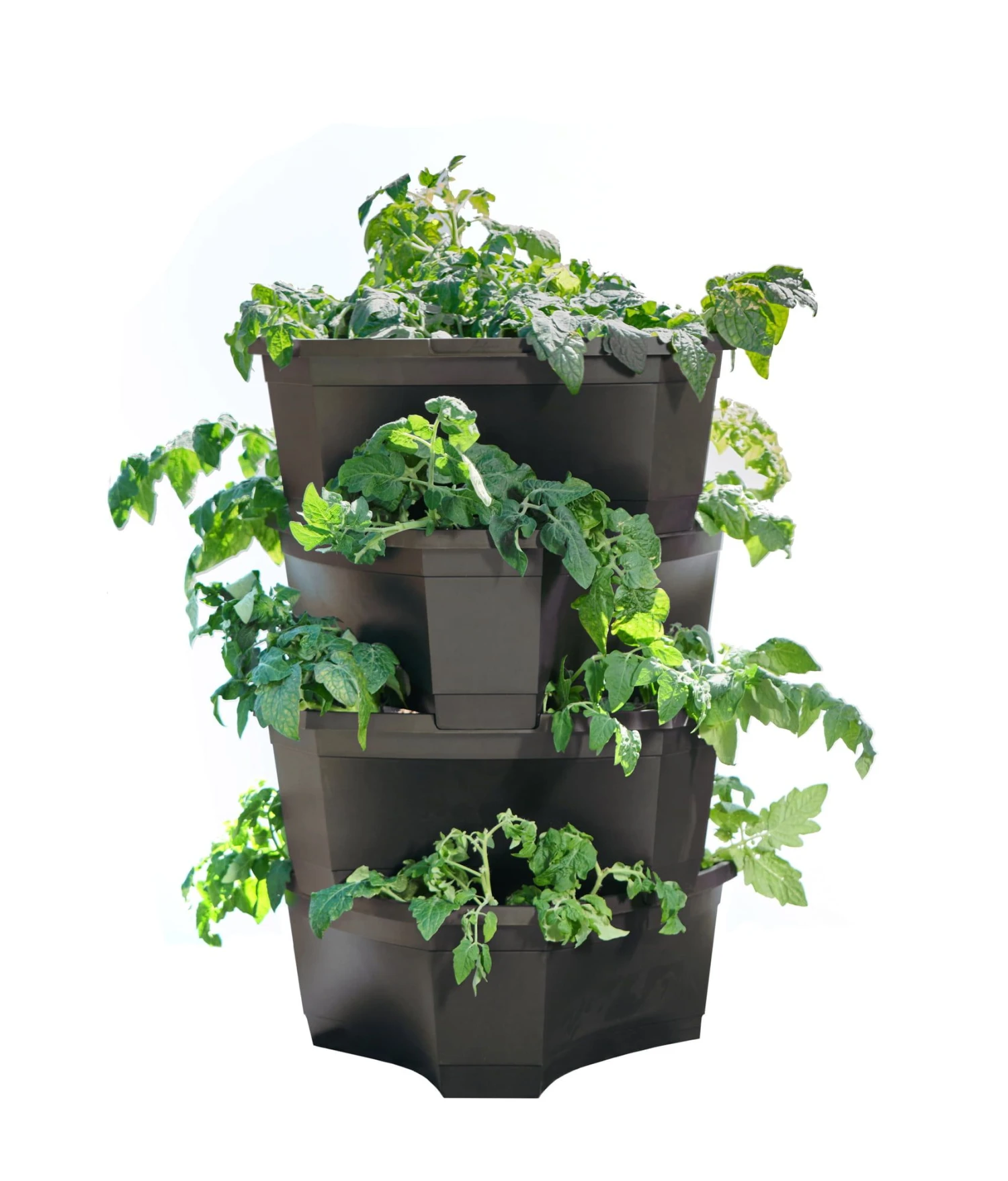 Anzuchttopf "Kartoffel- Und Pflanzturm" 3 Anzuchttopf "Kartoffel- Und Pflanzturm"