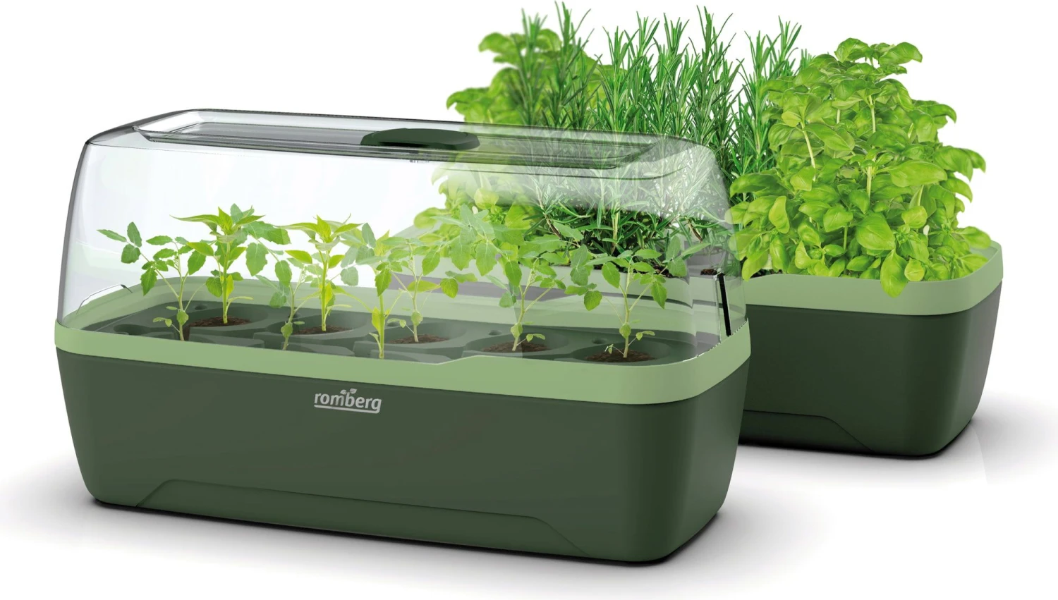 Gewächshaus & Pflanzkasten L - BoQube "Green Edition" 3 Gewächshaus & Pflanzkasten L - BoQube "Green Edition"