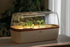 Gewächshaus & Pflanzkasten BoQube L PLUS LED - Creme-Kupferbraun -Pflanzensamen Rabatt romberg boqube l plus led creme kupferbraun 1 stk 819778 de