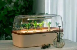 Gewächshaus & Pflanzkasten BoQube L PLUS LED - Creme-Kupferbraun -Pflanzensamen Rabatt romberg boqube l plus led creme kupferbraun 1 stk 819798 de