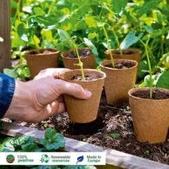 Classic 10 Anzuchttöpfe, 10 Stück -Pflanzensamen Rabatt romberg classic 10 anzuchttoepfe 1501689 de