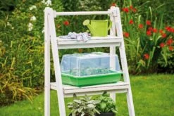 Classic Gewächshaus M 11 Classic Gewächshaus M -Pflanzensamen Rabatt romberg classic gewaechshaus m 1 st 908870 de