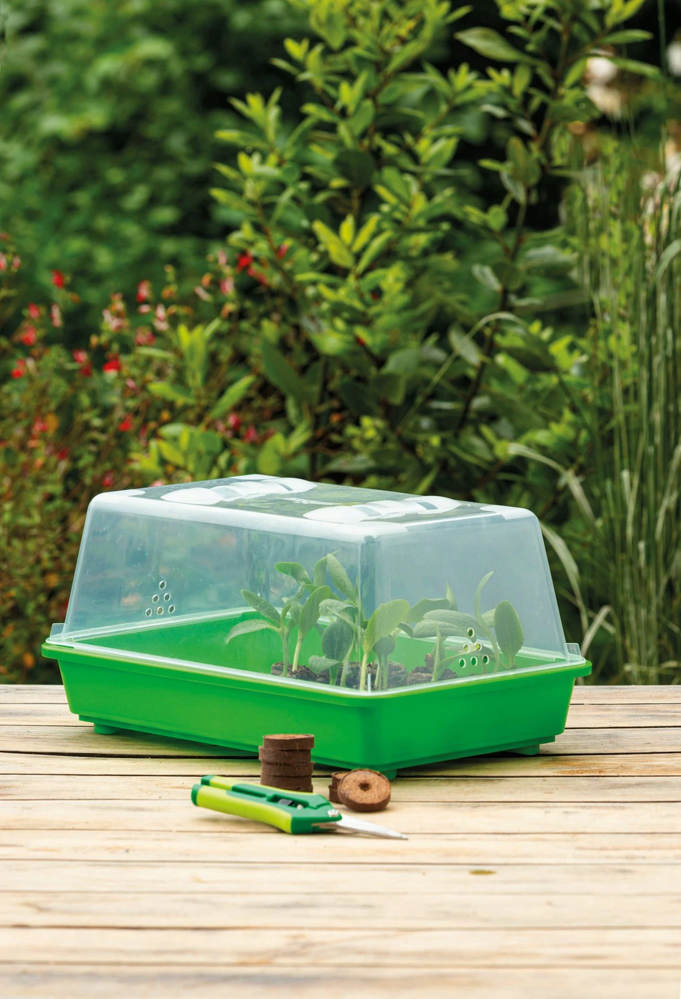 Classic Gewächshaus M 3 Classic Gewächshaus M