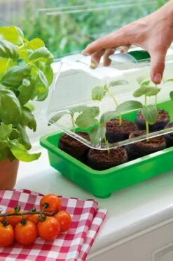 6 Kokos-Quelltabletten, Ø 70 Mm, 6 Stück 16 6 Kokos-Quelltabletten, Ø 70 Mm, 6 Stück -Pflanzensamen Rabatt romberg classic kokos quelltabletten oe 70 mm 6 st 909383 de