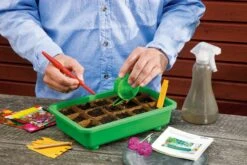 Classic Profi Anzucht-Set