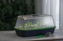 Gewächshaus & Pflanzkasten BoQube M PLUS LED & Heizmatte - Anthrazit-Sommergrün -Pflanzensamen Rabatt romberg gewaechshaus pflanzkasten boqube m plus led heizmatte anthrazit sommergruen 1 st 1676056 de