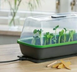 Gewächshaus & Pflanzkasten BoQube M PLUS LED & Heizmatte - Anthrazit-Sommergrün -Pflanzensamen Rabatt romberg gewaechshaus pflanzkasten boqube m plus led heizmatte anthrazit sommergruen 1 stk 1046351 de