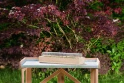 Holz-Anzuchthaus, L -Pflanzensamen Rabatt romberg holz anzuchthaus 1559590 de