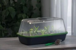 LED Pflanzenbeleuchtung -Pflanzensamen Rabatt romberg led pflanzenbeleuchtung 1 st 1658033 de