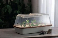 LED Pflanzenbeleuchtung -Pflanzensamen Rabatt romberg led pflanzenbeleuchtung 1 st 1658036 de