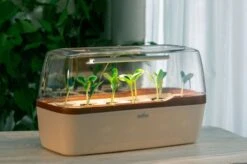 LED Pflanzenbeleuchtung -Pflanzensamen Rabatt romberg led pflanzenbeleuchtung 1 st 1671621 de