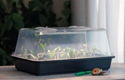 LED Pflanzenbeleuchtung -Pflanzensamen Rabatt romberg led pflanzenbeleuchtung 1 st 1671622 de