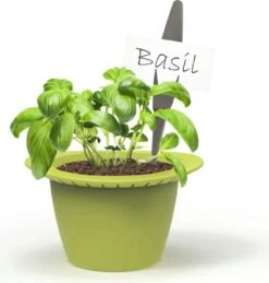 Mini – Anzuchttöpfe 6 Mini – Anzuchttöpfe -Pflanzensamen Rabatt romberg mini anzuchttoepfe 1 set 1045779 de