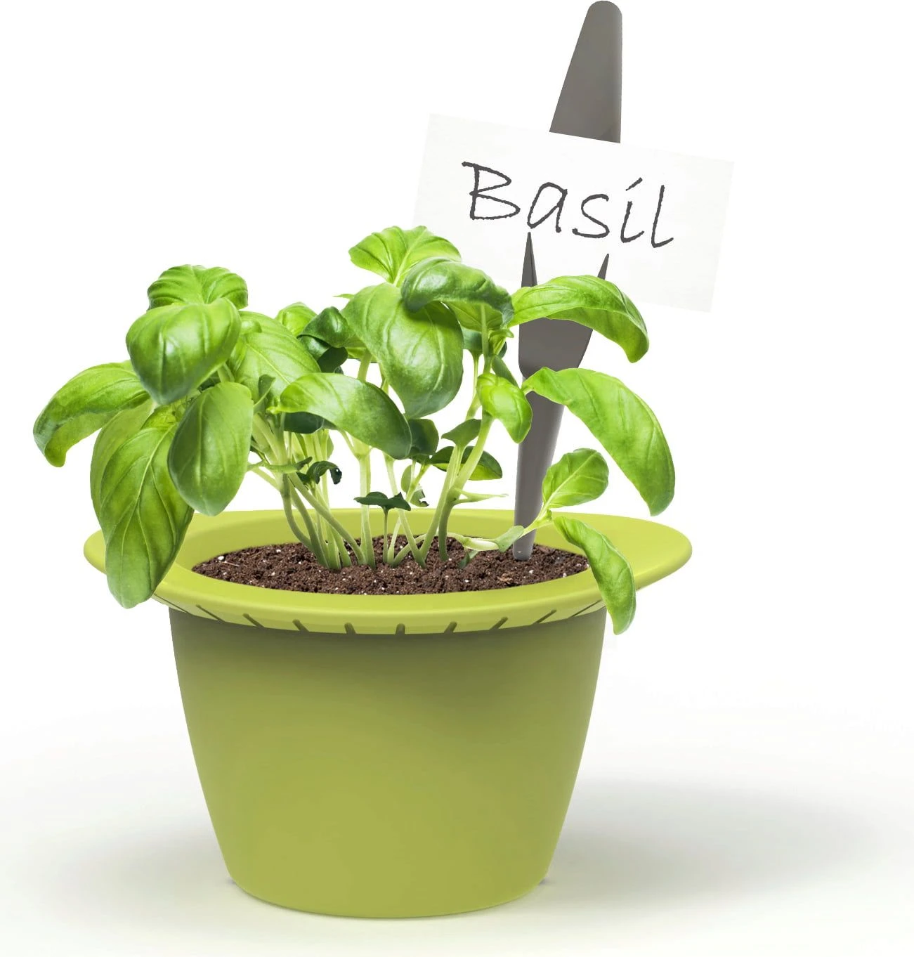 Mini – Anzuchttöpfe 4 Mini – Anzuchttöpfe – Bild 2