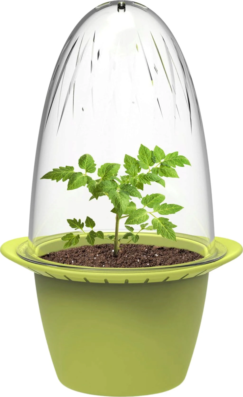 Mini – Anzuchttöpfe 3 Mini – Anzuchttöpfe