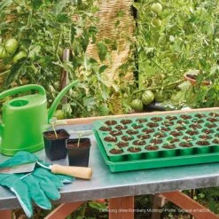 Multitopf Untersetzer - 50x30 Cm -Pflanzensamen Rabatt romberg multitopf untersetzer 50x30 cm 1501814 de