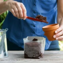 POP UP BOX Anzucht-Erde - 5 X 1 Liter -Pflanzensamen Rabatt romberg pop up box anzucht erde 5 x 1 liter 1664254 de