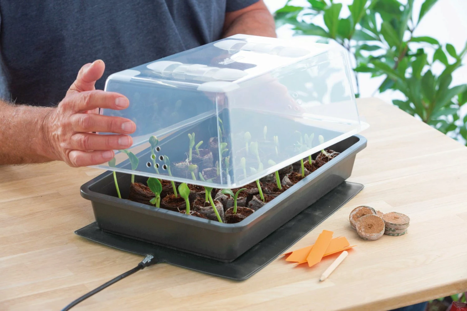 Power Gewächshaus "Thermo M" 4 Power Gewächshaus "Thermo M" – Bild 2