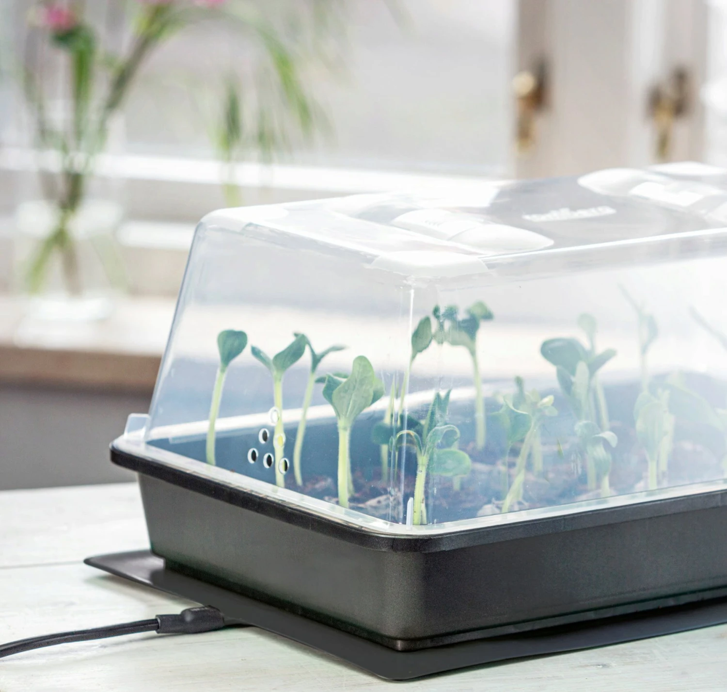 Power Gewächshaus "Thermo M" 5 Power Gewächshaus "Thermo M" – Bild 3