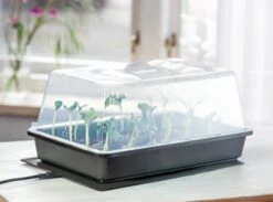 Power Gewächshaus "Thermo M" 9 Power Gewächshaus "Thermo M" -Pflanzensamen Rabatt romberg power gewaechshaus thermo m 1 st 907776 de