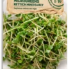 Bio Keimsprossen/Microgreens - Rucola
