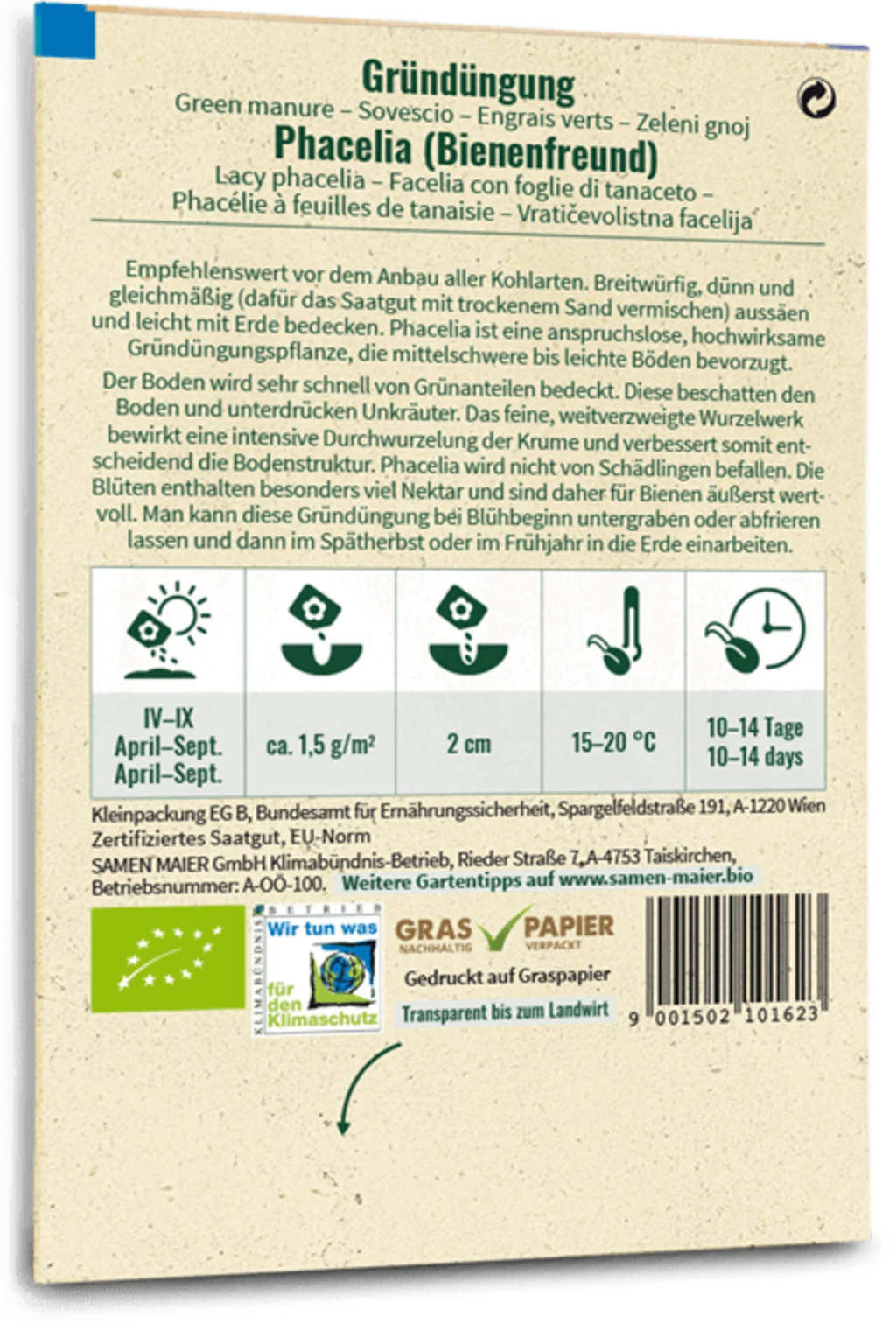 Bio Phacelia "Bienenfreund" 4 Bio Phacelia "Bienenfreund" – Bild 2