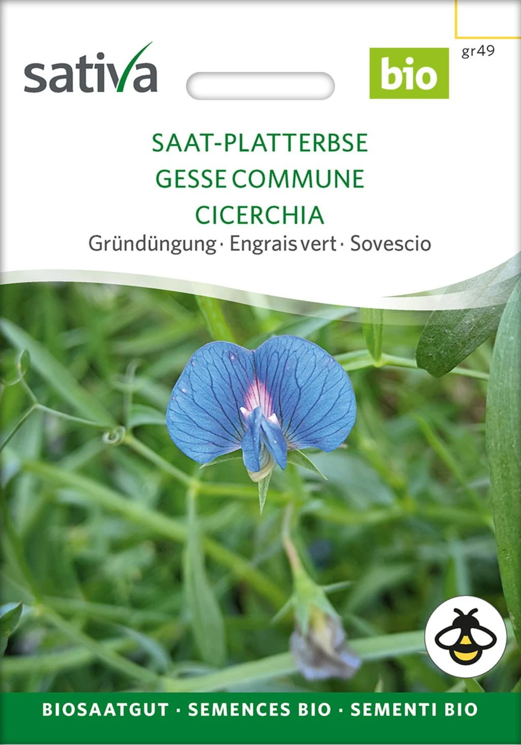 Bio Gründüngung "Saat-Platterbse" 4 Bio Gründüngung "Saat-Platterbse" – Bild 2