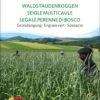 Bio Gründüngung "Waldstauden Roggen" 2 Bio Gründüngung "Waldstauden Roggen" -Pflanzensamen Rabatt sativa bio gruenduengung waldstauden roggen 1683160 de