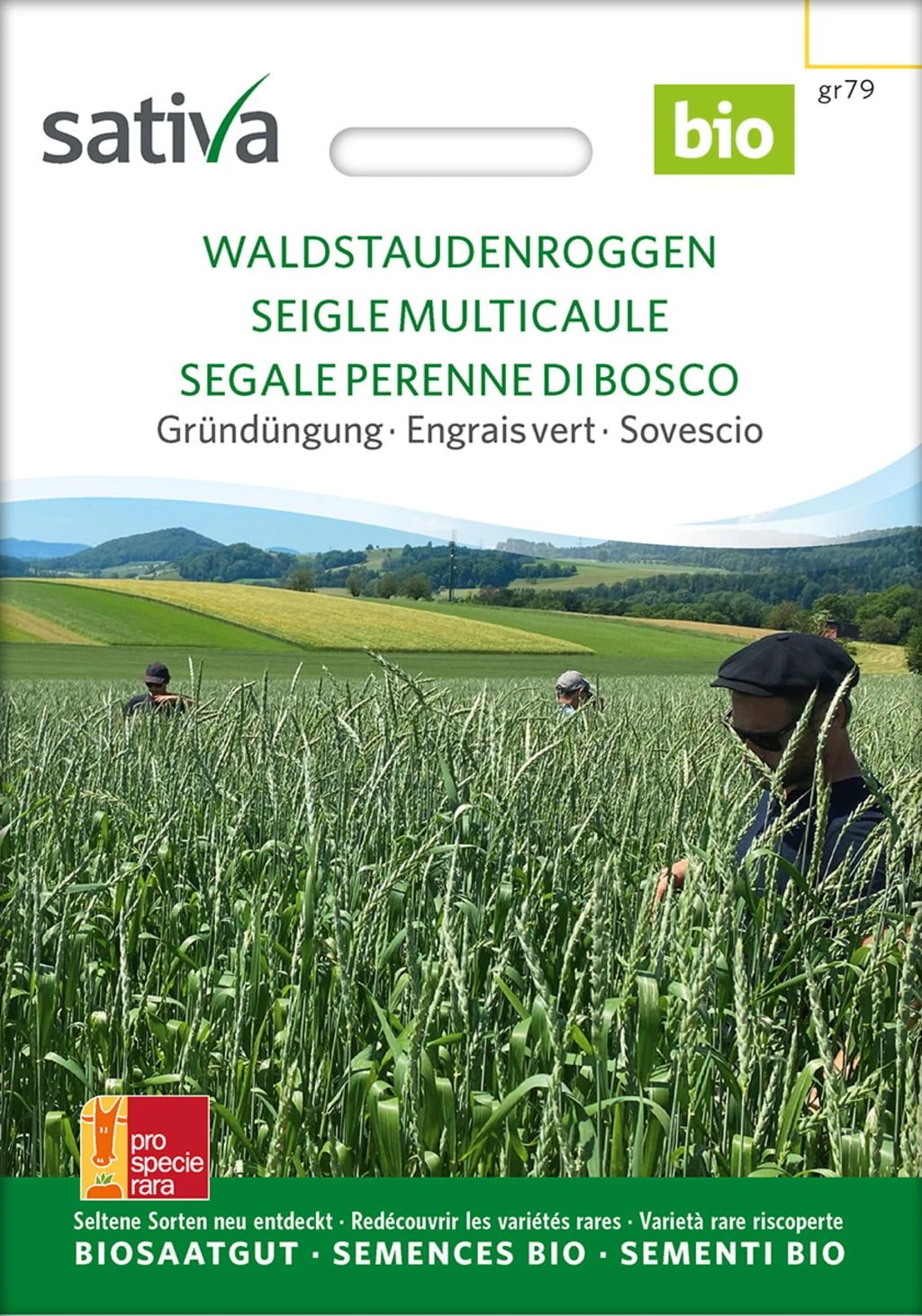 Bio Gründüngung "Waldstauden Roggen" 3 Bio Gründüngung "Waldstauden Roggen"