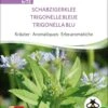 Bio Kräuter "Schabzigerklee" 1 Bio Kräuter "Schabzigerklee" -Pflanzensamen Rabatt sativa bio kraeuter schabzigerklee 1 paket 1675042 de