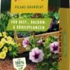 Pflanz-Granulat Für Beet-, Balkon- & Kübelpflanzen 12,5 L, 12,50 L 2 Pflanz-Granulat Für Beet-, Balkon- & Kübelpflanzen 12,5 L, 12,50 L -Pflanzensamen Rabatt seramis pflanz granulat fuer beet balkon kuebelpflanzen 125 l 1250 l 1671101 de