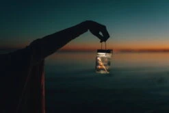 Sonnenglas® Mini 14 Sonnenglas® Mini -Pflanzensamen Rabatt sonnenglas mini 1279453 de