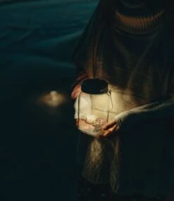 Sonnenglas® Mini 21 Sonnenglas® Mini -Pflanzensamen Rabatt sonnenglas mini 1279481 de