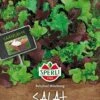 Mini-Salatmischung Babyleaf, 1 Saatscheibe -Pflanzensamen Rabatt sperli mini salatmischung babyleaf 1 saaskiva 1653482 de