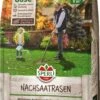 Nachsaatrasen, 250 G -Pflanzensamen Rabatt sperli nachsaatrasen 1685460 de