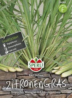 Zitronengras -Pflanzensamen Rabatt sperli zitronengras 1 paket 1657035 de