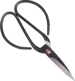 Eisen-Schere, L 7 Eisen-Schere, L -Pflanzensamen Rabatt stroemshaga eisen schere l 1674205 de